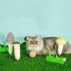 Catnip Plush Finger Toys with Rattle Paper - Pet Educational Chew Toys