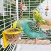 Wear-resistant Bird Cage Feeder Paw Grinding Parrot Wood Perch Bird Feeding Cup  Pet Bird Supplies