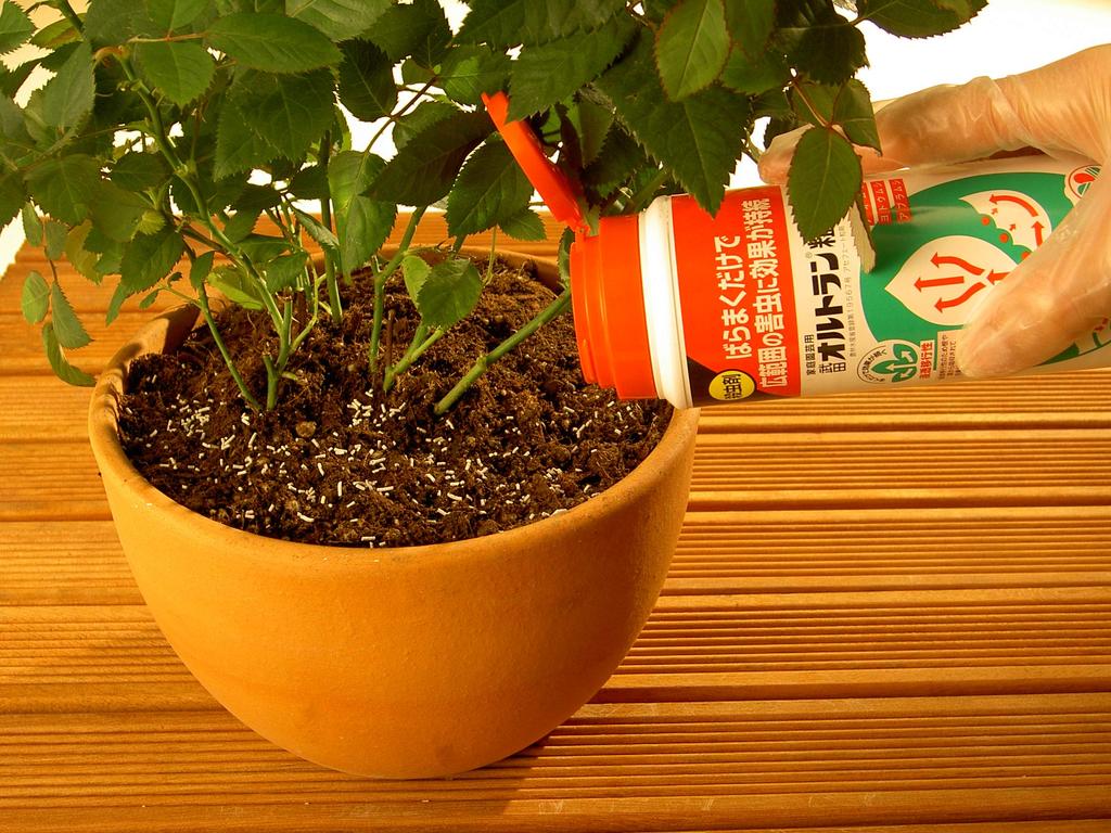 Sumitomo Chemical Gardening GF Ortran Granules Insecticide for Home for Aphids Gardening, 1.6kg, Systemic,