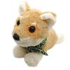 Broadwatch I Love Conversational and Dancing Miniature Shiba Inu Robot with Pet Plush Toy for Kids and Seniors Talking, Moving, Singing! Stories!
