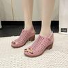 Fashion 2025 Summer Hot Sale Square Heel Sandals Women Thick Soles Sandals New Pattern Fashion Casual Chunky Heel Zapatos Para Mujeres
