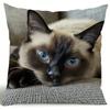 Vibrant Bohemian Style Short Plush Pillow Cover 45x45cm Charming Kitten Living Room  Bedroom Decor (Pillow Insert Not Included)