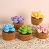 Fashion Hand Knitted Crochet Succulent Bonsai Flowers Potted Gifts  Office Party Decoration