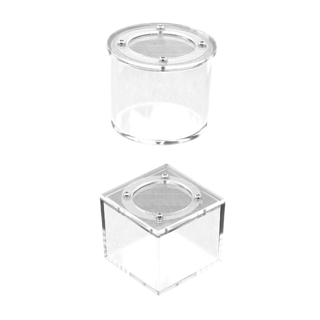 Reptile Breeding Box Spider Box Acrylic Sturdy Small Terrarium Breeding Tank Transparent Reptile Tank for Gecko Scorpions