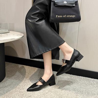 Горячие туфли Мэри Джейн женские весна 2025 новые остроносые V-образный вырез слово с маленькими кожаными туфлями толстый каблук ретро универсальные