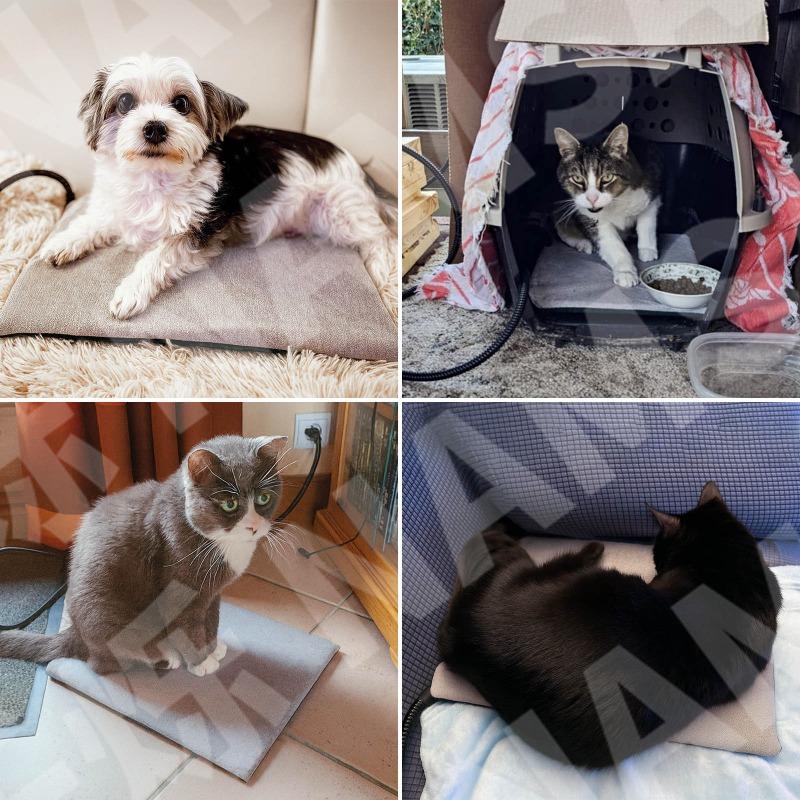 Pet Products Heating Pad Electric Blanket Seat Cushion with Temperature Control Intelligent Constant Temperature