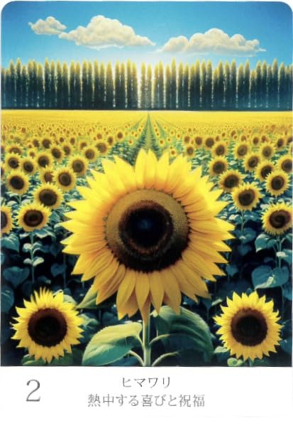 Floral Wisdom Oracle Cards | Cancer Ami | 48 Cards with Japanese Commentary [Authentic]