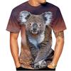Summer Fashion Koala Animal Print T-Shirt 3D Printed Men's Short Sleeve Harajuku Style Loose Y2K Top
