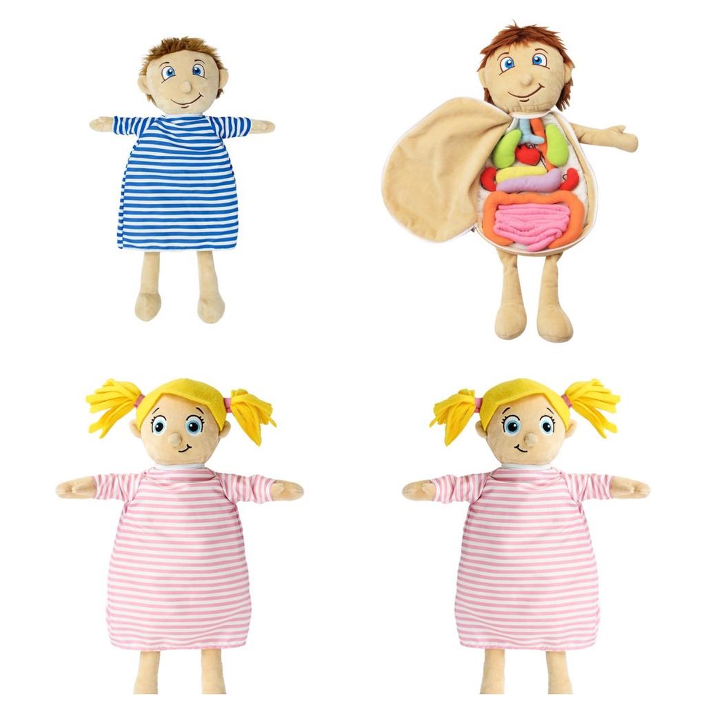Organ Anatomy Plush Toy Montessori Preschool Teaching Aid