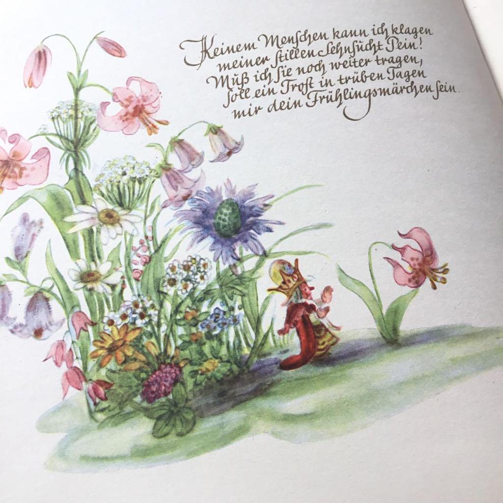 [Б/У] Иностранные книги, немецкие иллюстрированные книги, винтажные книги, ботанические