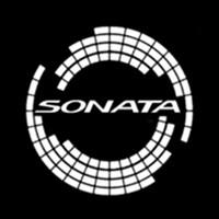 2Pcs For Hyundai SONATA VII (LF) 2015-2019 Russi 2018-Now LED Car Door Courtesy Lights Projector Ghost Shadow Lamp Accessories