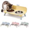 Anti-slip Pet High-foot Bowl Love-heart Double Bowl Cat Feeder Bowl  for Puppy and Cat