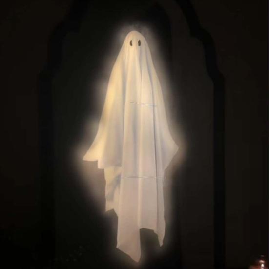 Halloween Hologram Ghost Mirror LED Light Up Spooky Ghost Mirror for Halloween Indoor Outdoor Haunted House Room Decor