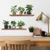 Окрашенная зелень Горшечные растения Спальня Кабинет Домашний фон Стена Украшение Украшения Наклейки на стену