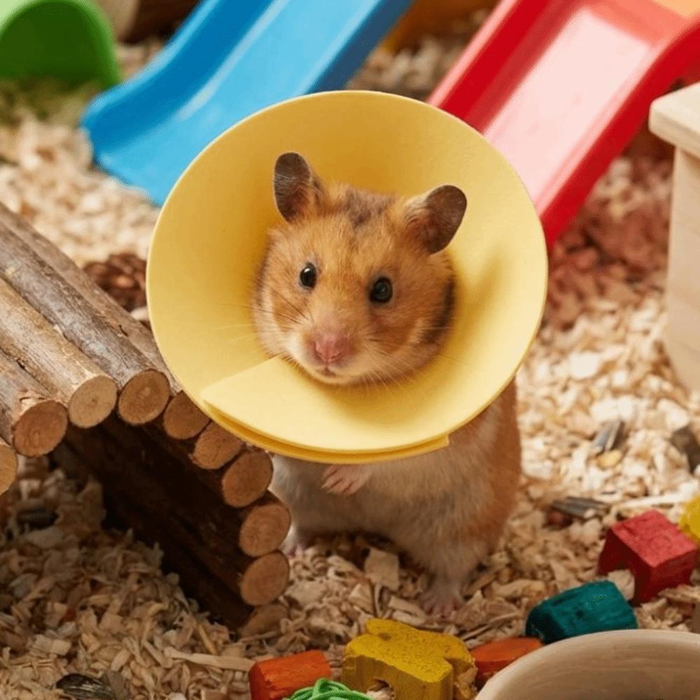 Adjustable Anti Licking Collar Anti-Bite Protective Collar for Bird Hamster Rabbit