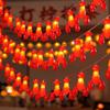 1.5m 10-LED Lobster Design String Light Battery Powered Decorative Lamp,Constant Light