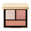 SNIDEL BEAUTY Tailored Color Eyes Тени для век Хайлайтер (05 Золотой час)