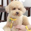 MAISON DE MIU Hands-Free Link Earth Full Set (Leash/Leash/Wrist Strap) Yellow