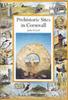 Книга Prehistoric Sacred Sites of Cornwall