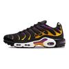 Nike Мужские кроссовки Air Max Plus Black University Gold Viotech DX2663-001