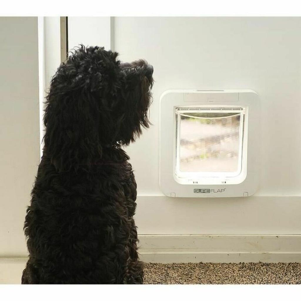Cat Flap SureFlap SUR101 17.8 X 17 Cm