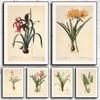 Vintage Botanical Posters Canvas Painting And Prints Classic Wall Art Picture for Living Room Office Home Decor Frameless Gift