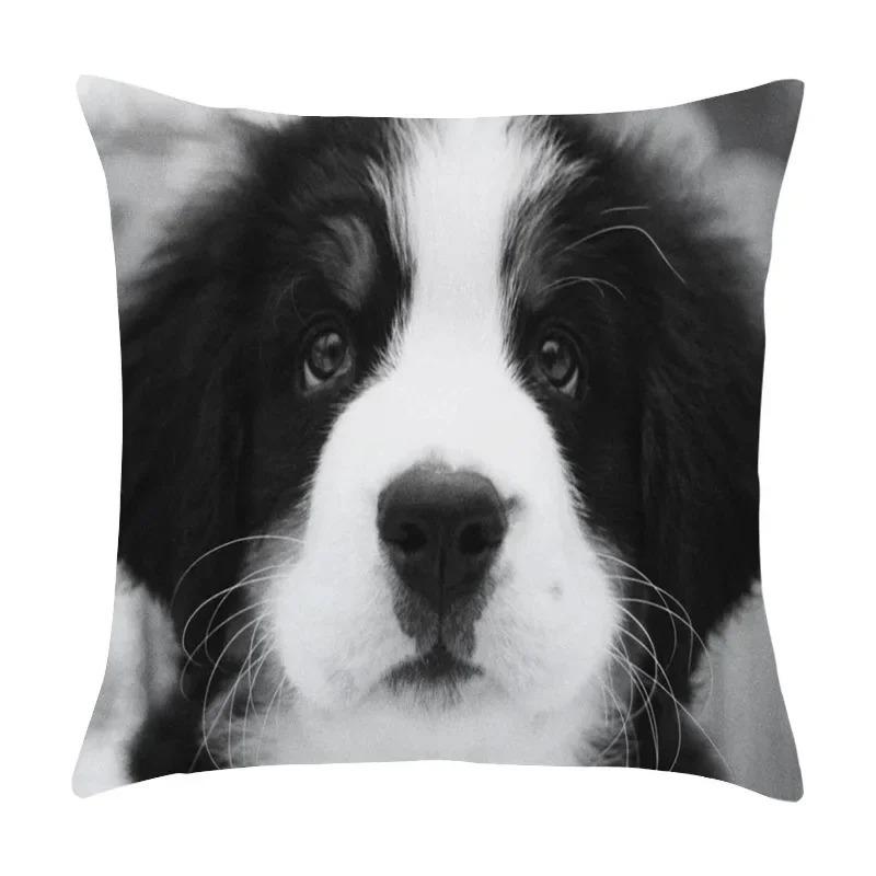 Милый питомец щенок черно-белое художественное фото офисная диванная подушка наволочка