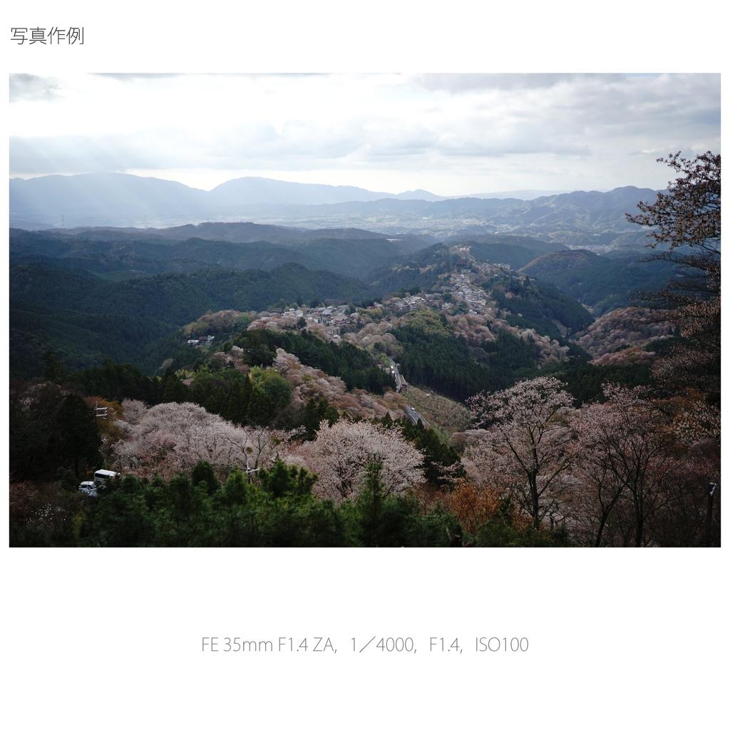 Однофокусный объектив SONY Distagon FE 35 мм ZA E mount 35 мм, совместимый с полноразмерными камерами SEL35F14Z T F1.4