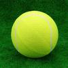 9.5‘um Oversize   Tennis  s Inflatable Tennis   with Pump Dog Toy  s For Signature Children Adult Pets Dogs Cats Fun