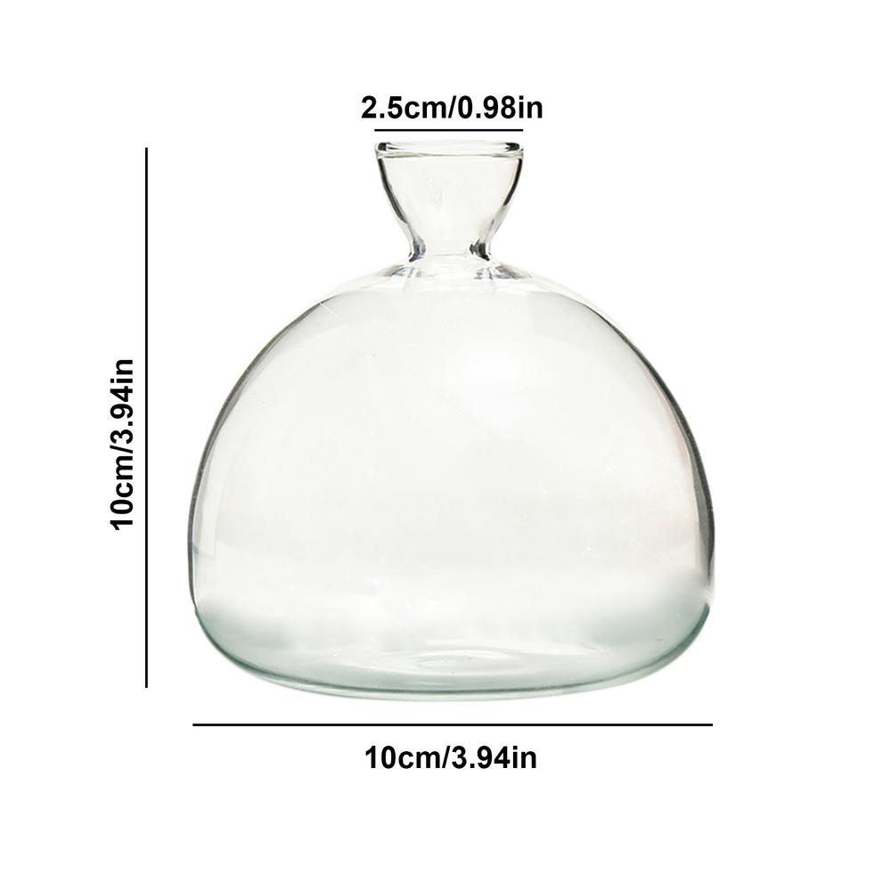 Ваза для закваски семян авокадо Ваза для выращивания семян авокадо, набор для выращивания семян авокадо, стекло для растений с наклейками, подарок для любителей садоводства