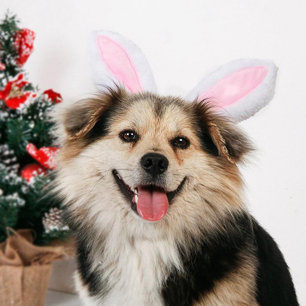 Lovely Bunnies Ear Headbands Durability Pet Headpiece Dog Halloweens Headbands for Easter and Festives Celebrations