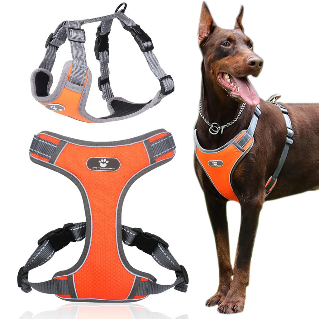 Astro Orange Dog Training Harness, Size Xl