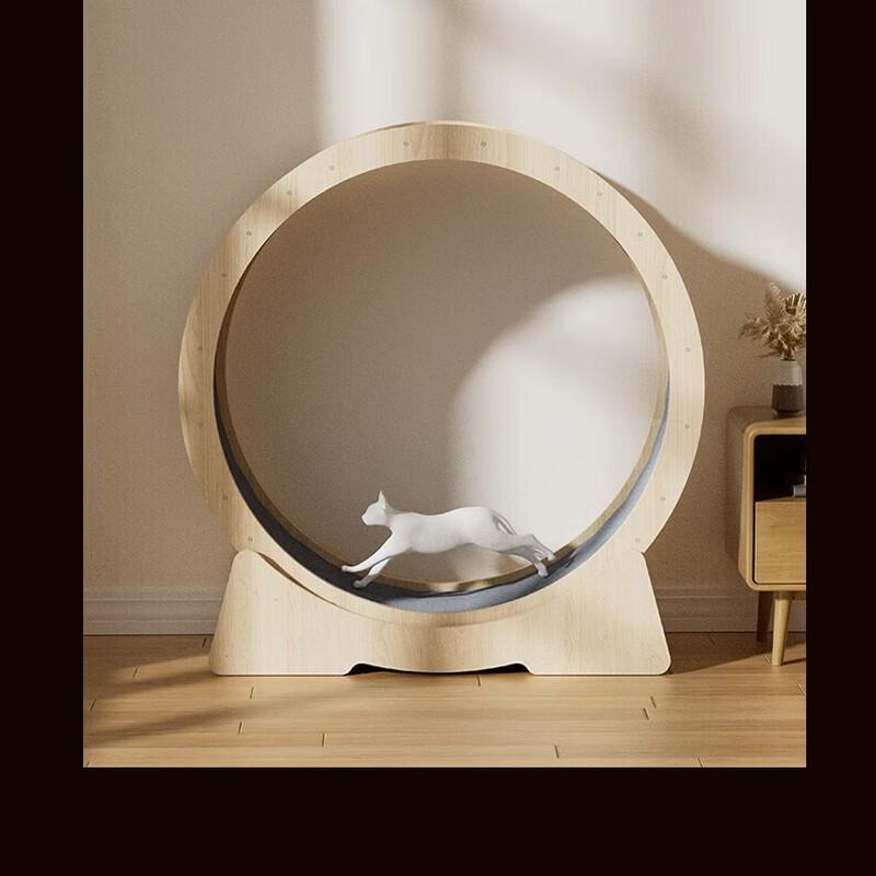 Cat Exercise Wheel & Climbing Frame