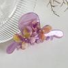 Fashionable Versatile Acetate Hair Claw Clip In Dazzling Colors For Women