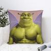Наволочка с шуткой Шрека  Наволочка для подушки на заказ Новинка Чехол для подушки для дивана спальни Домашний декор