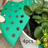 4 Pack Strawberry Support Stands for Garden Planting with Waterproof Stakes