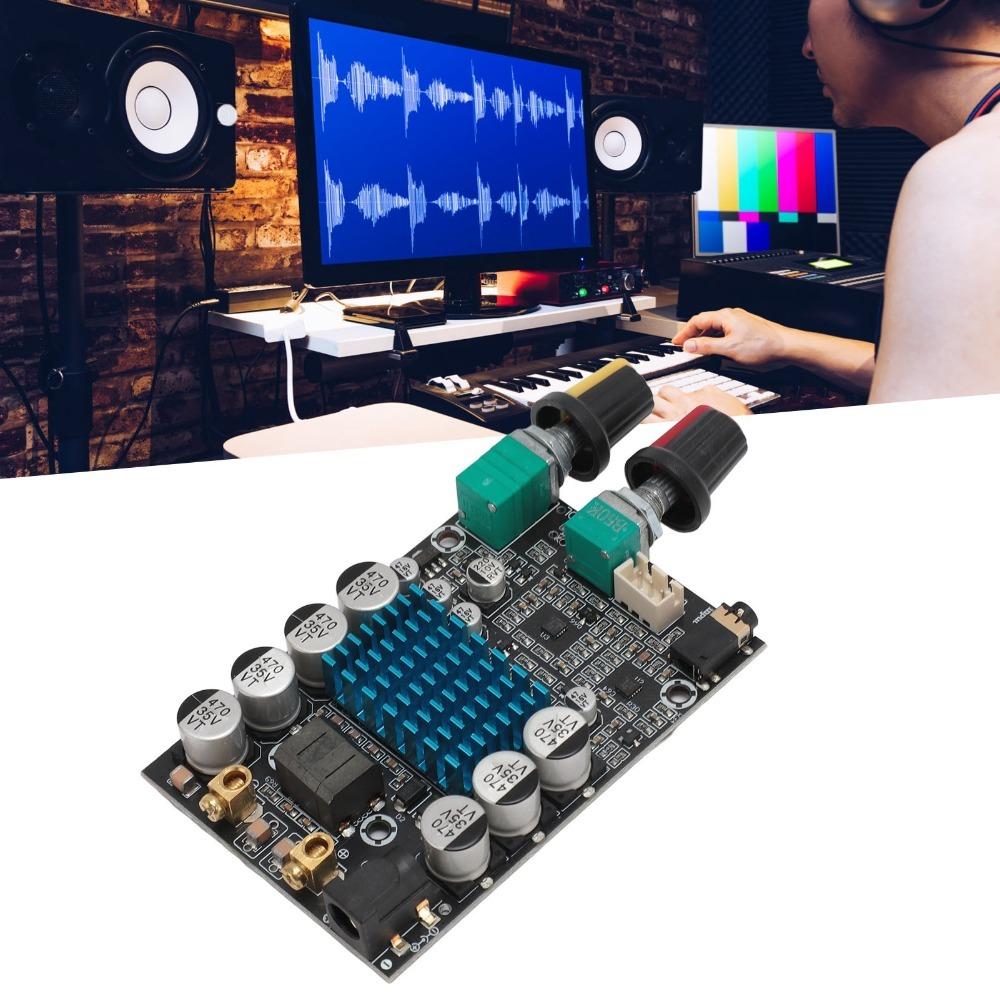 100W TPA3116 Subwoofer Amplifier Board 12-24V High Power Digital Amplifier  for DIY Speaker