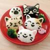 Cat Rabbit Rice Ball Mold Set Kids Cartoon Lunch Box DIY Creative Japanese Rice Sushi Tool Cake Molds Silicone Molds