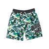 Boys Dinosaur Swim Shorts