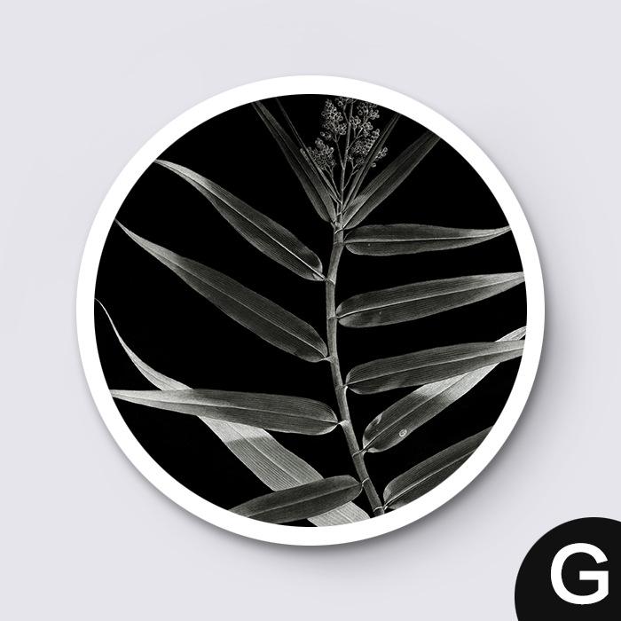 Скандинавская картина на холсте, черно-белое растение, круглый декоративный постер, простой современный подвесной и ресторан, скандинавское настенное искусство