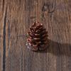 Stereoscopic Simulation Pine Cone Fragrance Base Funny Incense Insertion Incense Base Holder  Home
