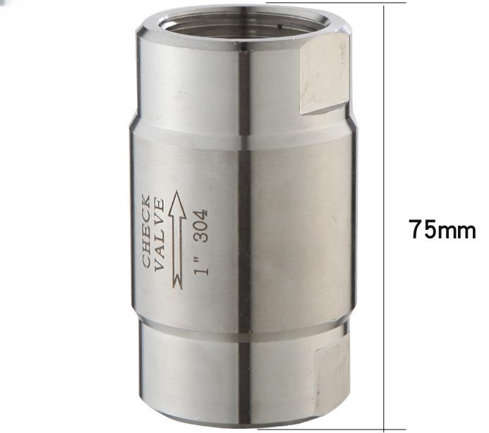 High Pressure 1/8" 1/4" 3/8" 1/2" 3/4" 1" BSP Female 304 Stainless Steel 316 Check One Way Valve Non-return Steam Water Oil