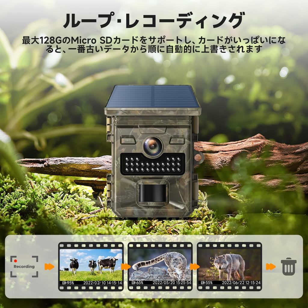 2025 новейшая камера Trail Solar 4K 48MP Security 32GB Micro SD карта второго класса IP66 водонепроницаемая и для наблюдения за дикой природой в помещении инфракрасное ночное видение Motion