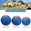 Dog Toy Inflatable Large Ball for Golden Retriever Bite Resistant Molar Boredom Relief Teaser for Shiba Inu Corgi Training Ball