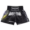 Tiger Muay Thai Dragon Shorts Pants Kickboxing Boxing MMA UFC Tattoo Protection Unisex Men Women Kid Quick Dry Print Elastic High Waist Training