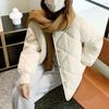 Thicken Warm Parkas for Women Fall Winter Vintage Long Sleeve O Neck Jacket Fashion Casual Oversized Chic Coats