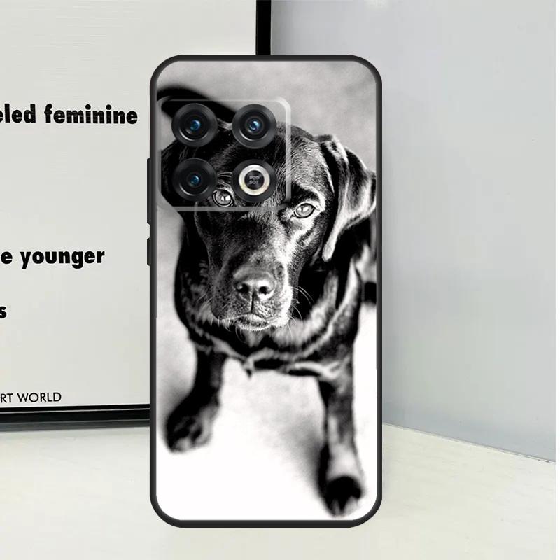 Black Labrador Dog For OnePlus Nord 5 CE 4 3 Lite N20 N30 Case For OnePlus 15 12 13 11 9 10 Pro 10T 12R 13R 13T
