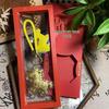 Новогодний Брелок-Ключница из Чистого Золота 999 Пробы «Процветание» в Подарочной Коробке с Ремешком для Телефона и Подвеской для Сумки