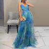Women's Spaghetti Strap Maxi Dress Floral Boho Deep V-Neck Hollow Out Mesh Pleated Dress Summer Beach Party Swing Long Dress