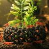 Wide-View Fish Shrimp Hiding Cave Porous Structure Breeding Shelter  Small Fish
